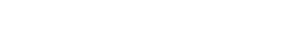 أنفيني آرك